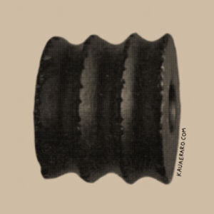 Mau kakī - AS Colour Womens Crop Tee Design