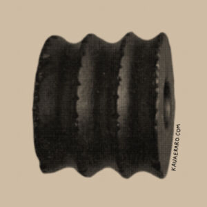 Mau kakī - AS Colour Mens Staple T shirt Design